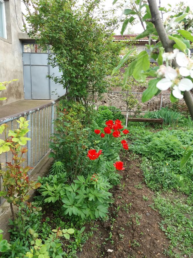 Aida Bed&Breakfast Tat'ev Exterior foto